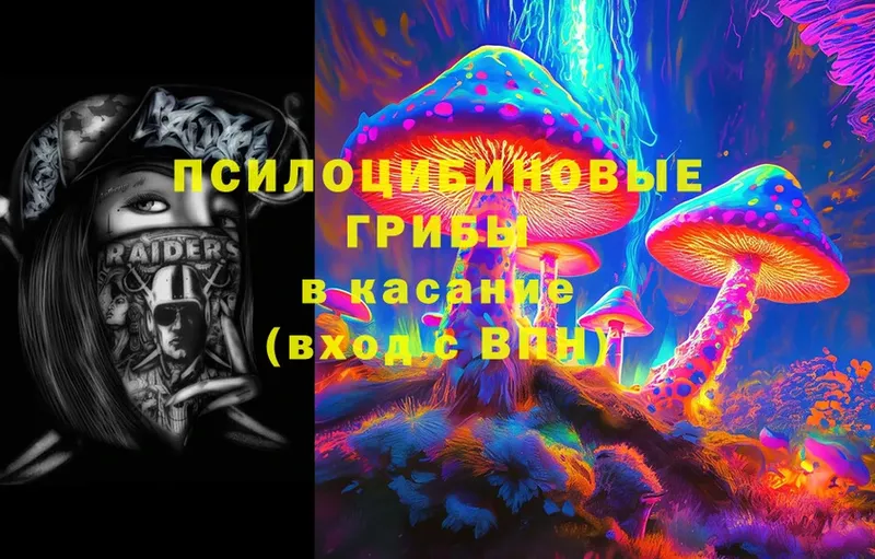 Галлюциногенные грибы Cubensis  Володарск 